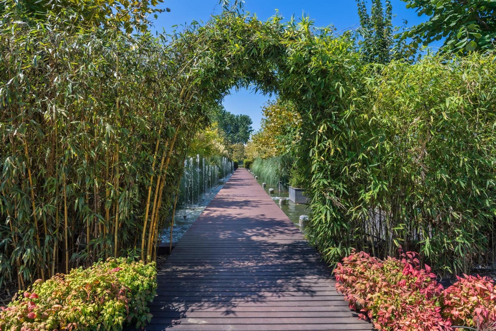 ホテル ラマダ プラザ バイ ウィンダム トラブゾン エクステリア 写真 Bamboo forest